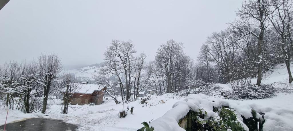 Logement A Megeve Avec Jardin Ngoại thất bức ảnh
